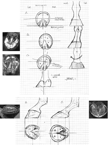 Fig 14