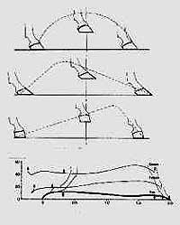 Schema 7