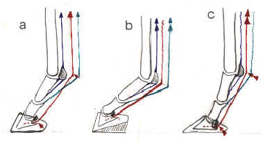 Schema 2