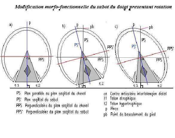 Fig 9