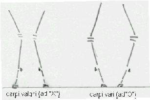 Schema 2