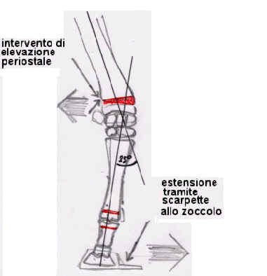 Schema 3