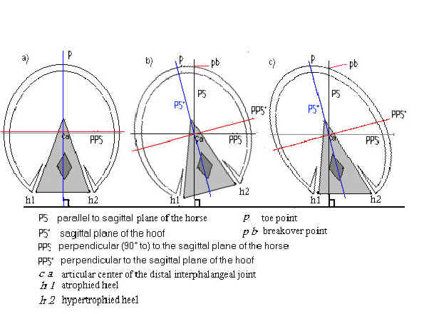 Fig 10