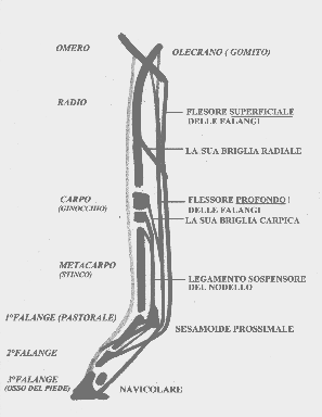 Esquema 6