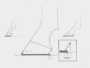 Esquema 13