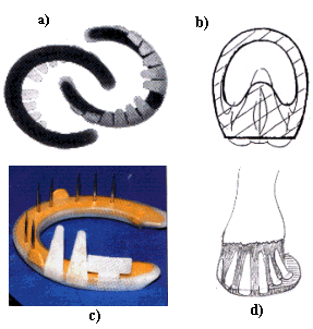 Fig 41